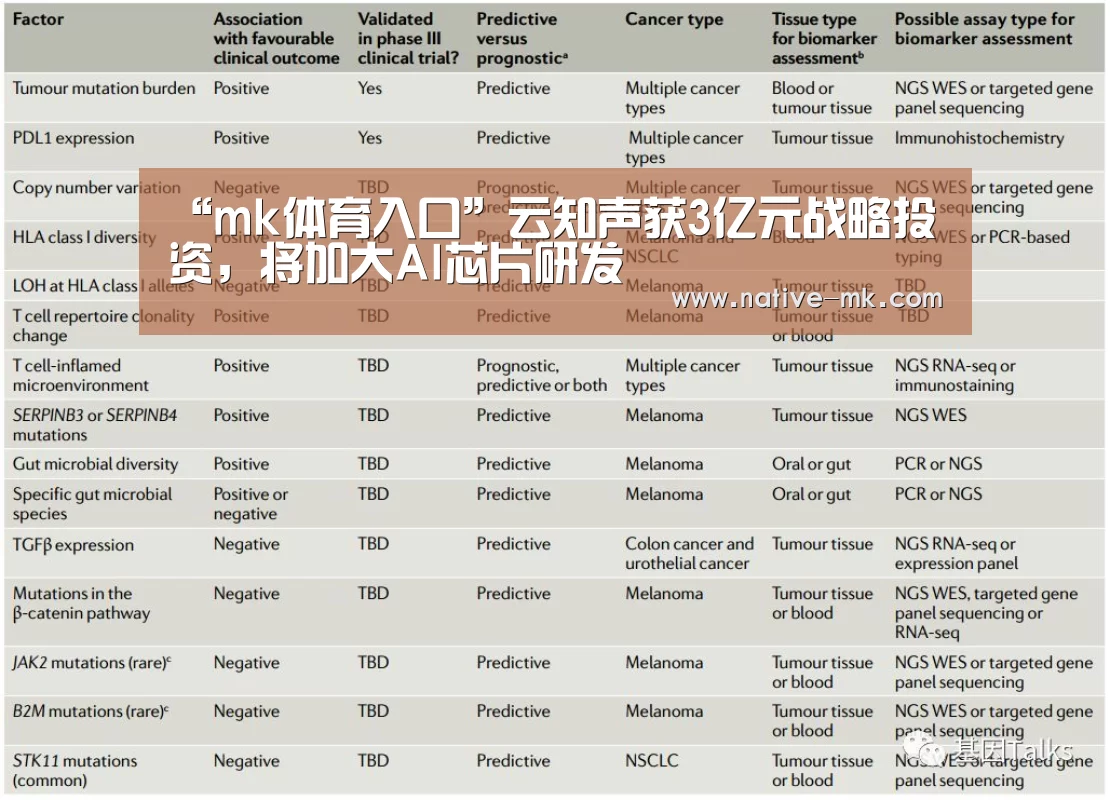 “mk体育入口”云知声获3亿元战略投资,将加大AI芯片研发(图2) mk体育官网